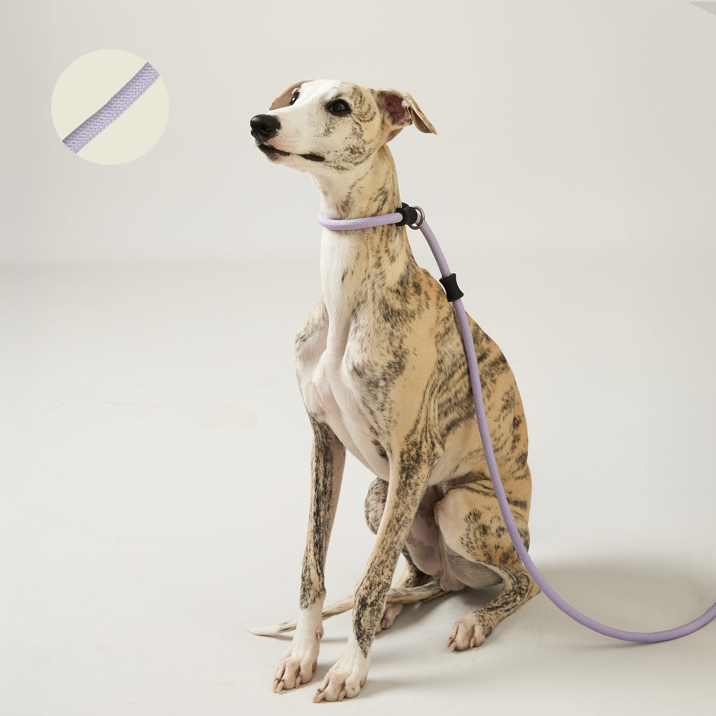 One-Piece No Pull Dog Leash