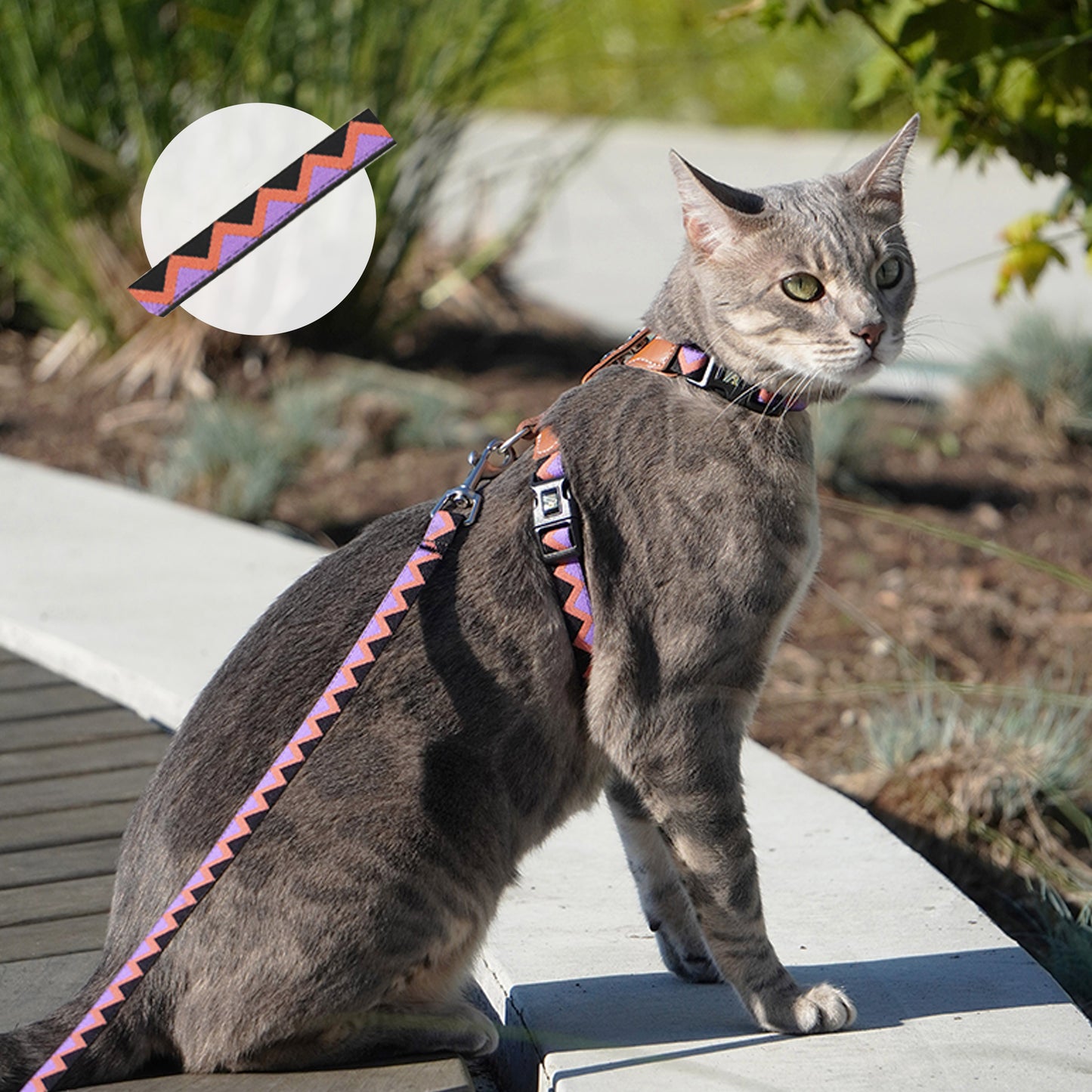 Adjustable Leather Cat Harness Set