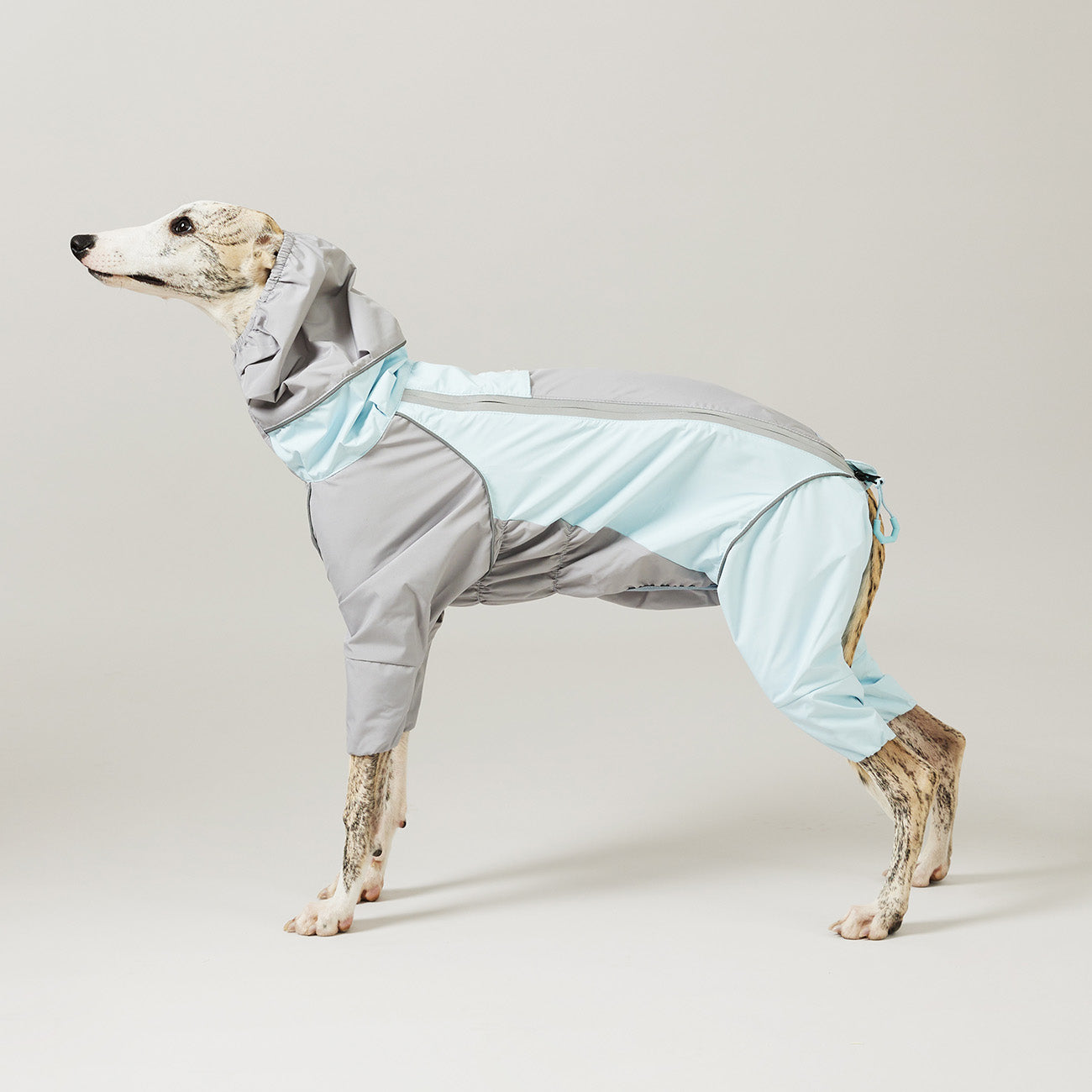 Dog Waterproof Raincoat