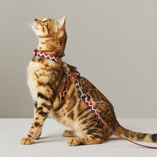 Adjustable Leather Cat Harness Set