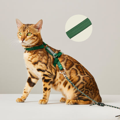 Adjustable Ultra-light Cat Harness Set