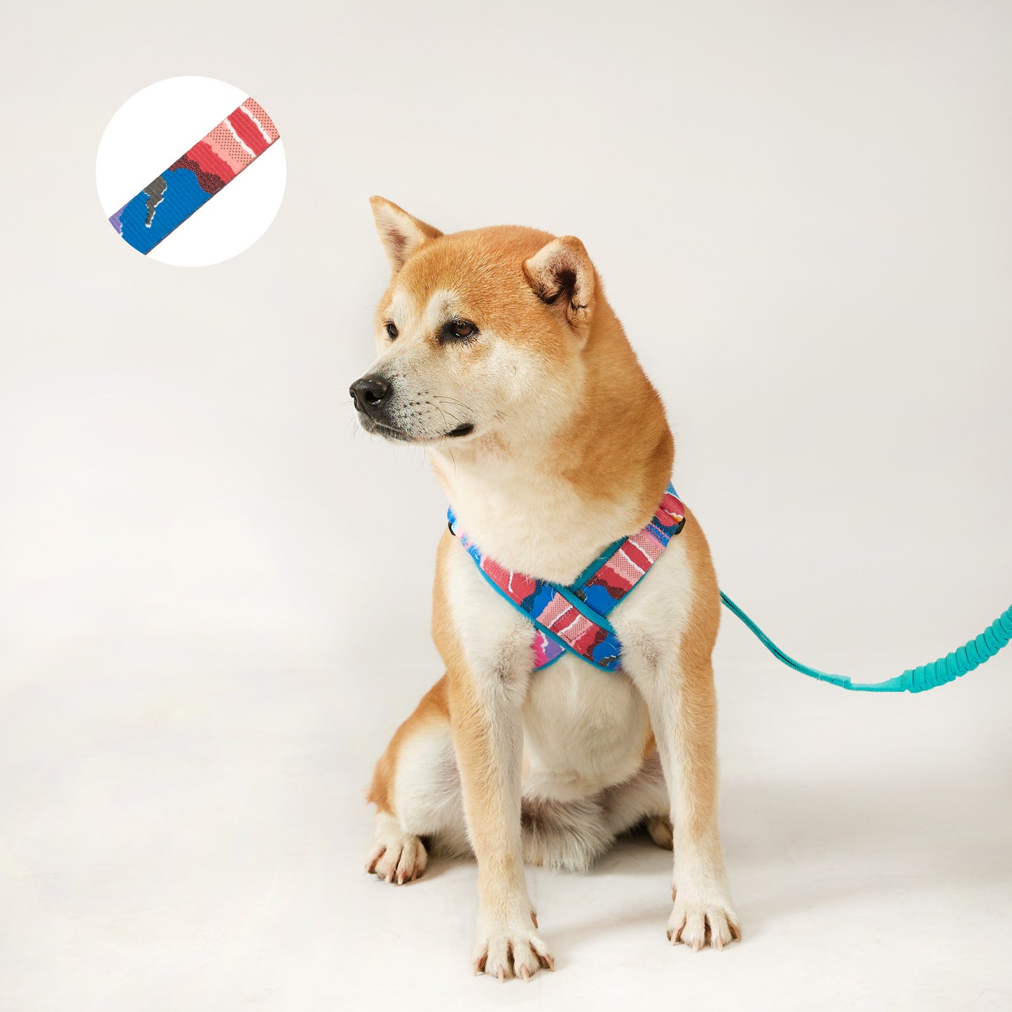 X-Shape Dog Harness