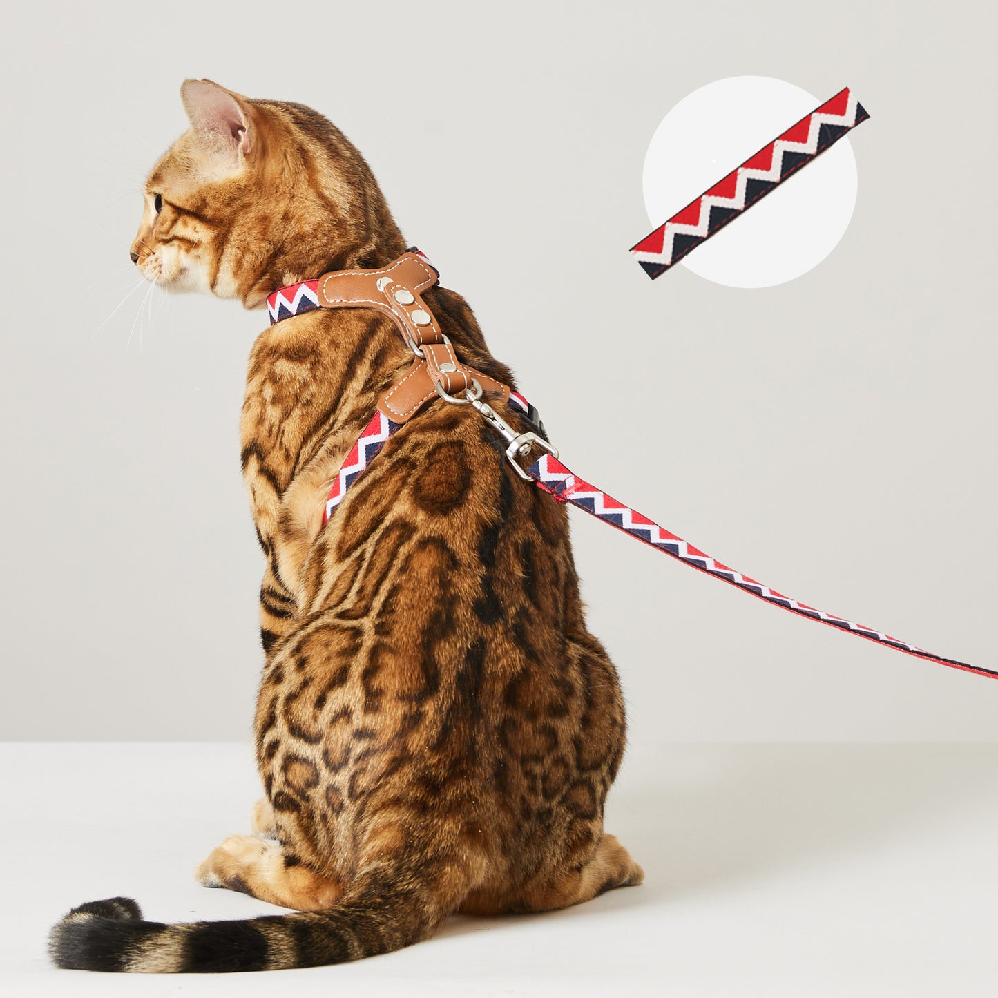 Adjustable Leather Cat Harness Set