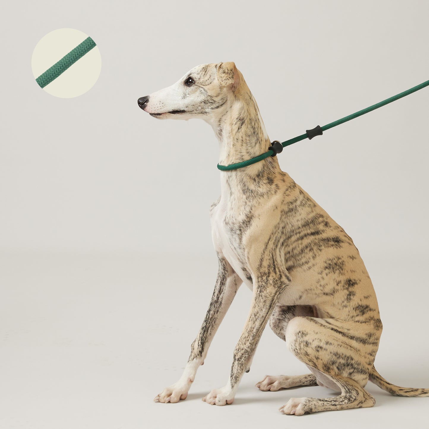 One-Piece No Pull Dog Leash