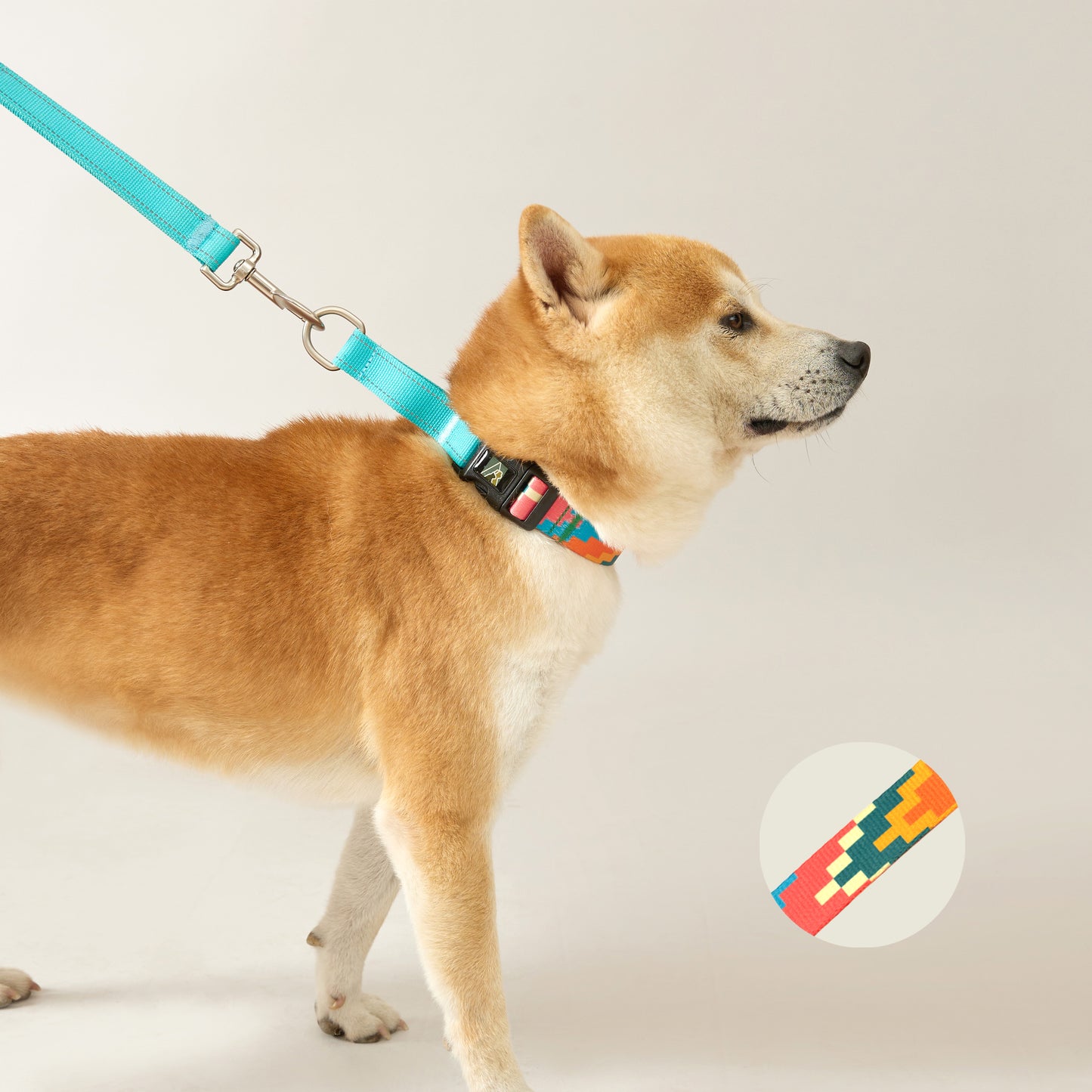 No Pull Dog Collar