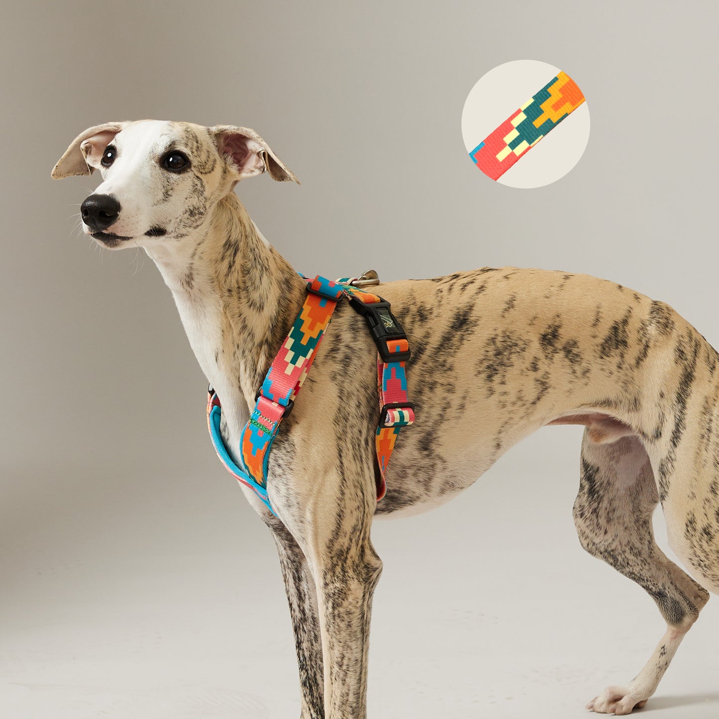 X-Shape Dog Harness