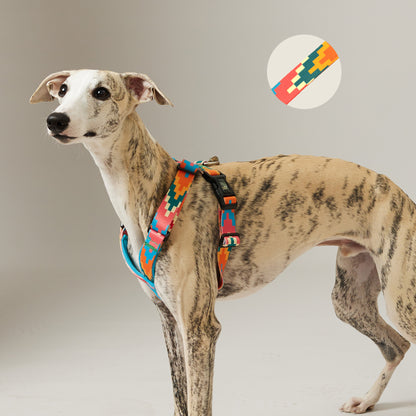 X-Shape Dog Harness