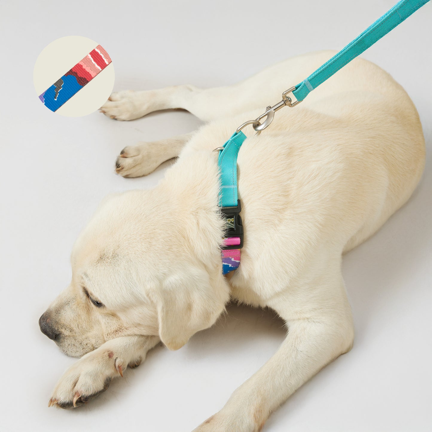 No Pull Dog Collar