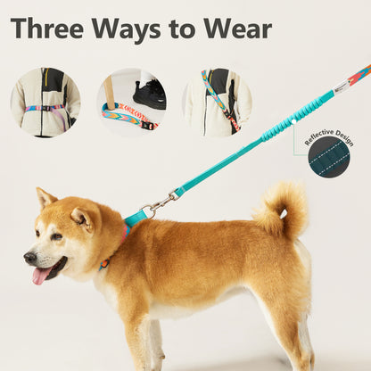 Multi-fuctional Heavy Duty Hands Free Dog Leash