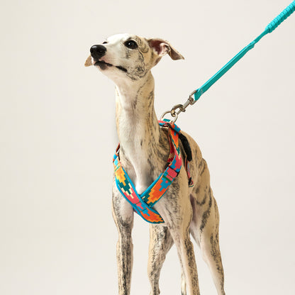 X-Shape Dog Harness